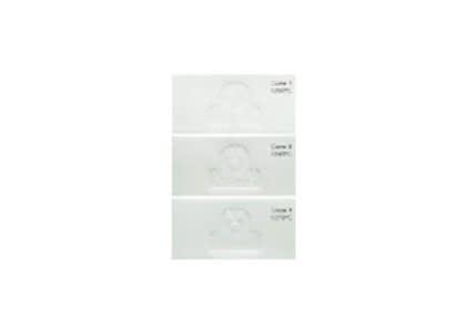 Aneto Porcelain (5kg) 1230-1270C