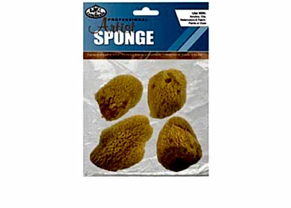 Natural Sponges: Medium Fine (Pack of 4)