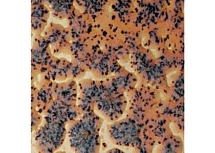 AMACO Crawls - Speckled Flux Crawl 473ml