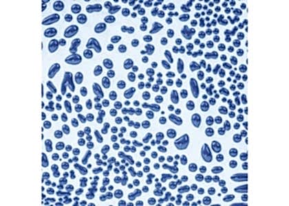 AMACO Crawls - Dark Blue 473ml