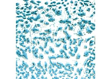 AMACO Crawls - Speckled Teal 473ml