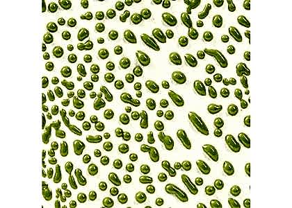 AMACO Crawls - Lime 473ml