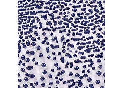 AMACO Crawls - Purple 473ml