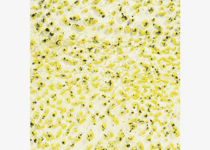 AMACO Crawls - Yellow 473ml