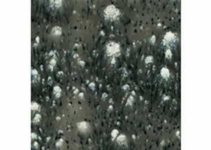 Mayco Crystalites Brush-On Glaze: Cosmic Black 118ml